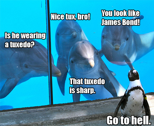 heyfunniest:  Life sometimes sucks, You need a break, Click here & Laugh!
