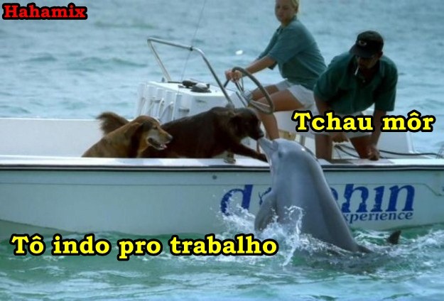 Se Liga Na Preguiça