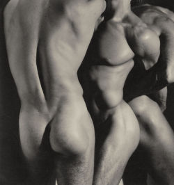 reichsstadt:   Three Male Torsos, Herb Ritts,