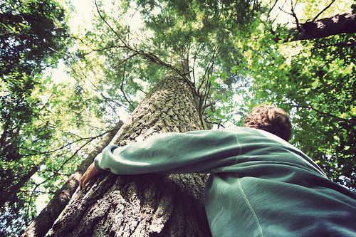 marcosos:  (by Kaitlyn J.)