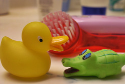 littlestcrocodile:  ♪ Rubber ducky, you’re