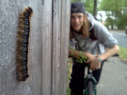 This lovley catapiller, and oh, my bf in the background. Lol. :)