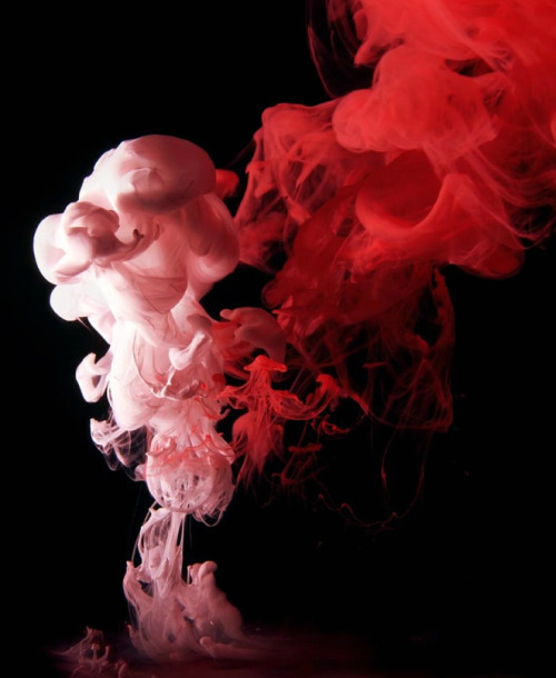 alecshao:Mark Mawson - Aqueous, 2012 - colored ink in water