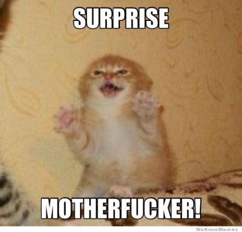Usually how i feel when i sneak up on someone.