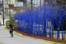 tacticalshoyu:  The Blue Trees by Konstantin Dimopoulos, is a social art action. He paints trees with a ‘biologically safe pigmented water’ to make a statement about how important trees are to our survival. The color will naturally degrade over a