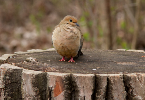 I am feeling a little better about my winter weight gain…
“ Ooohh…red shoes!
”