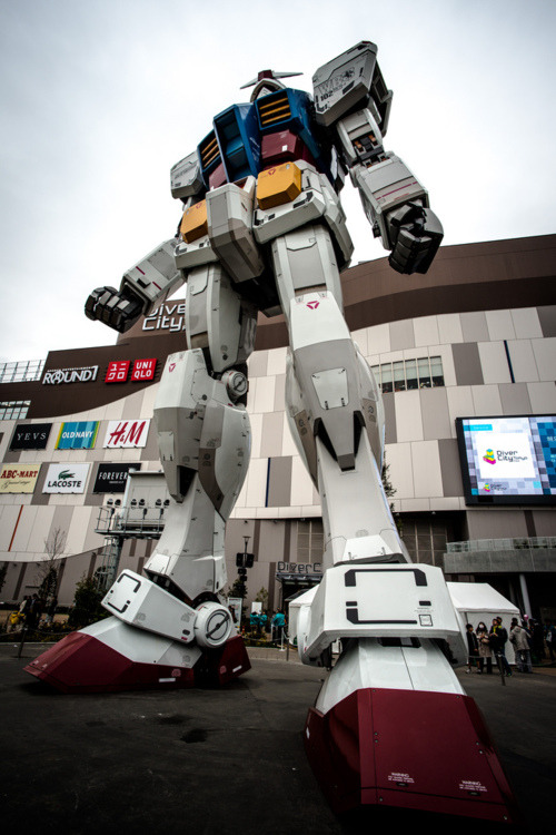 Cybertronian Newtype