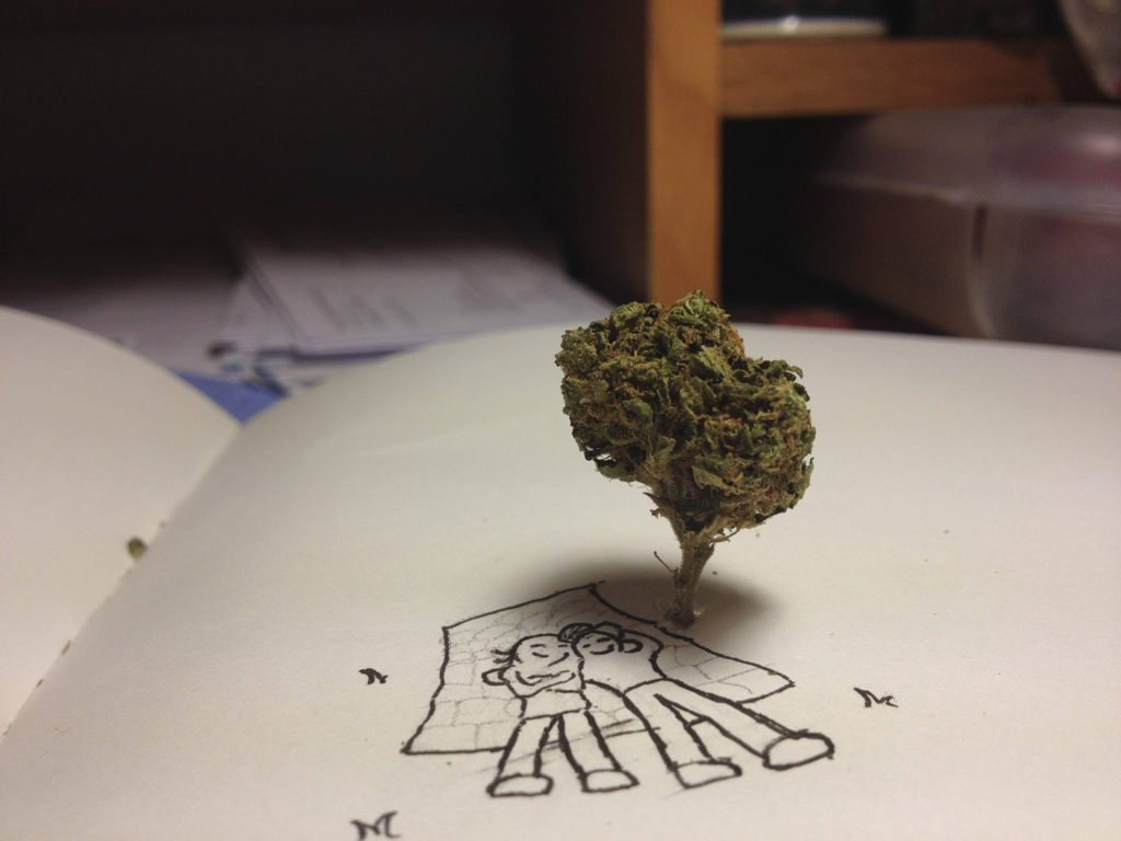 ch3yftw:  AWH 