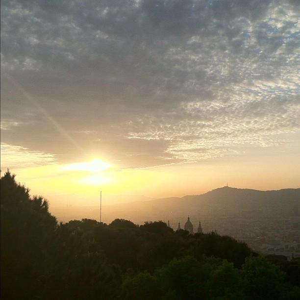 Back to incredibly beautiful Barcelona. I love #running in the park (Taken with instagram)