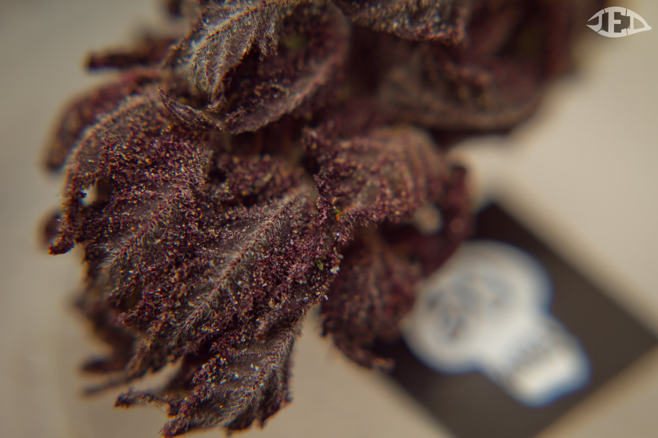 jed-eye:  Yurple Ube 