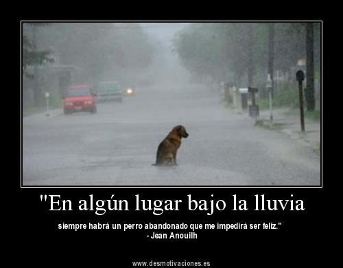 chupame-las-bolas:  si weon u_u, amo tanto la lluvia, pero siempre pienso en los