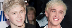 onedirection-forever-love:  Niall wants Tom to play him in a life movie….. But I think Ryan should play him &lt;3