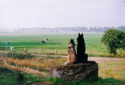 fullpelt:  Vonnecke  |  Zorro Mano ‘96  These dogs would be my girlfriend and I.