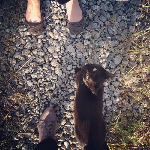 thelastgreatpoolparty:  #fromwhereistand with @finchlinden and cat friend. (Taken with instagram)