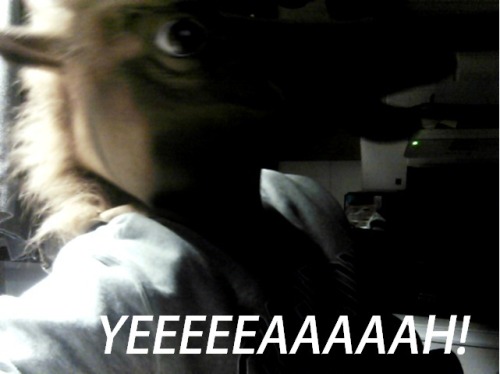 eyemahleighh:  This is my suicide note. 
