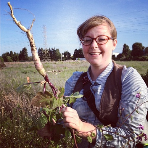 We pulled up a wild radish. (Taken with instagram)