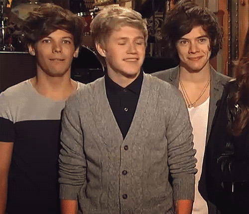 One Direction Fans