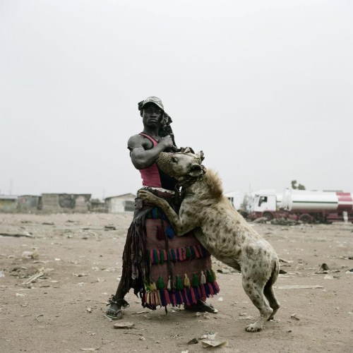 :O Hyena Pet ¿?