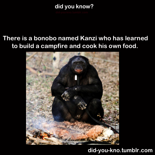 did-you-kno:  Source