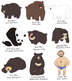 astropolice:  I just love bears so much.