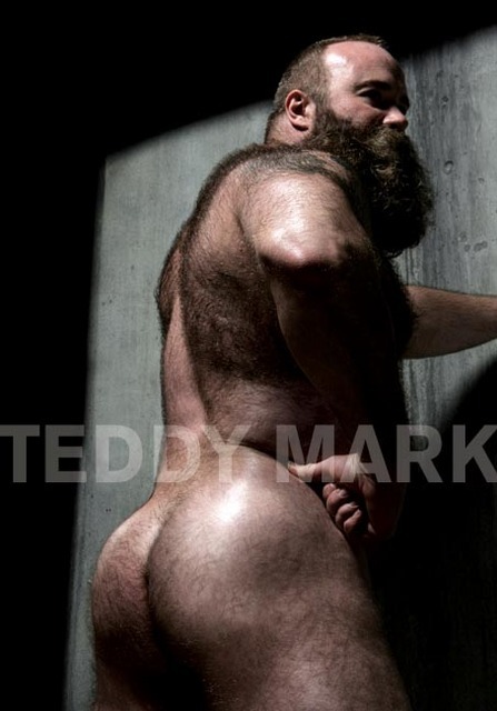 Osos del mundo (Bears of the world)