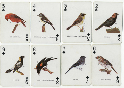 ox1dation:  (via Vintage Cards | Flickr - Photo Sharing!) 
