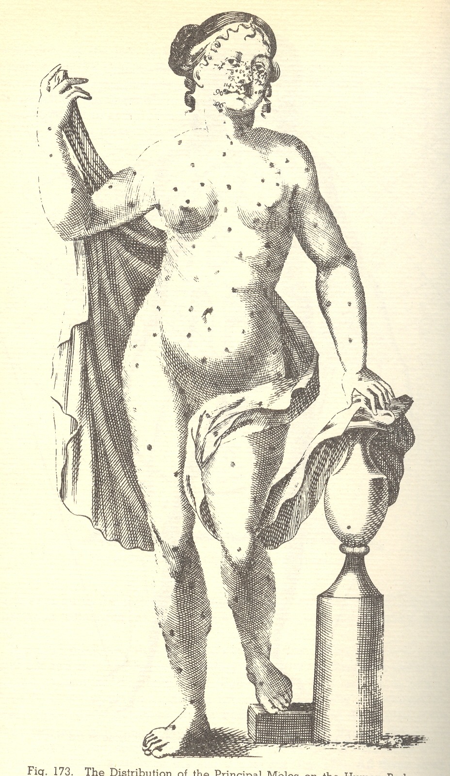fearvictim:  Maps of the Cosmos of Moles, 1671: Astrology, Pseudoscience &amp;