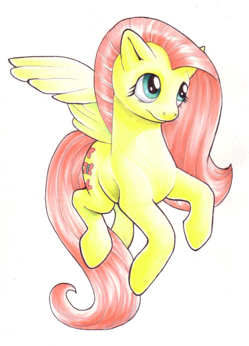 Every Pony Deserves Love