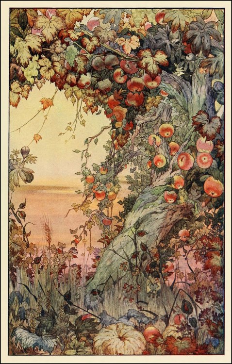 wasbella102:  Edward J. Detmold: The Fruits of the Earth 