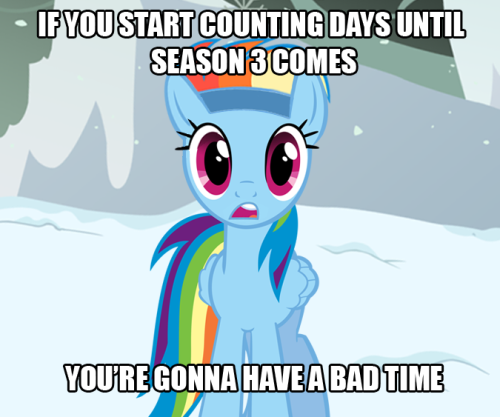 Every Pony Deserves Love