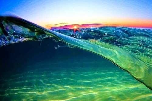 aloha-shy:  I normally never reblog a picture twice, but this one is irresistible <3 