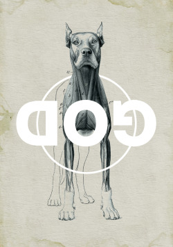 darksilenceinsuburbia:  Michæl Paukner.  http://www.flickr.com/people/michaelpaukner/