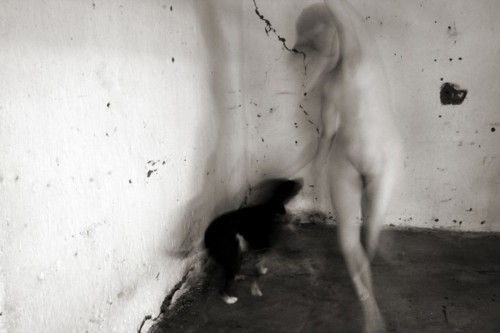 workman:  mianoti: Francesca Woodman (with - unnamed? - dog) 