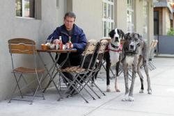 humansofnewyork:  “They go through 30 lbs of food per week.” 