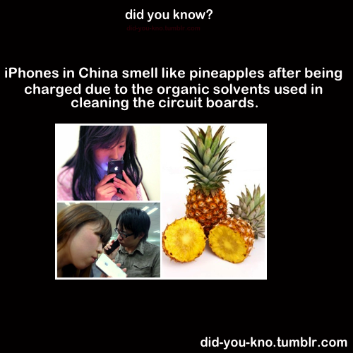 did-you-kno:  Source 