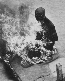 theroyaltenenblarghs:  A monk performing self immolation. 