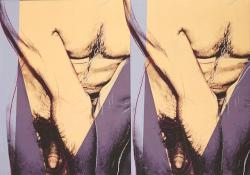 brazenswing:  Andy Warhol: Double Torso,