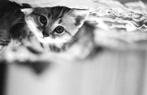 Paranoid girl