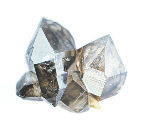 themineralogist:  ruineshumaines:  These are no photos – these are tiny, hyper-realistic and exquisitely detailed oil paintings of semi-precious gemstones and minerals, painted by Toronto-based Carly Waito.  this makes me sick  Wow