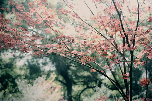 thingsanotherworld.tumblr.com/post/22086638297/