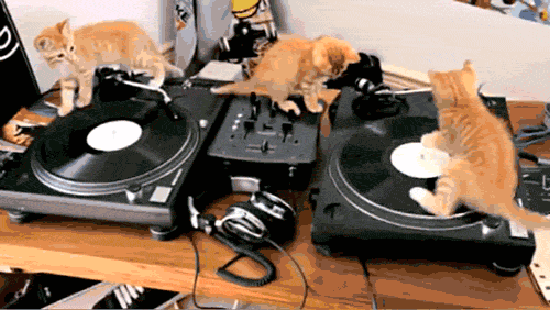 gifpeanutbutter:  gifpeanutbutter: a GIF directory for thousands of tumblr GIF 