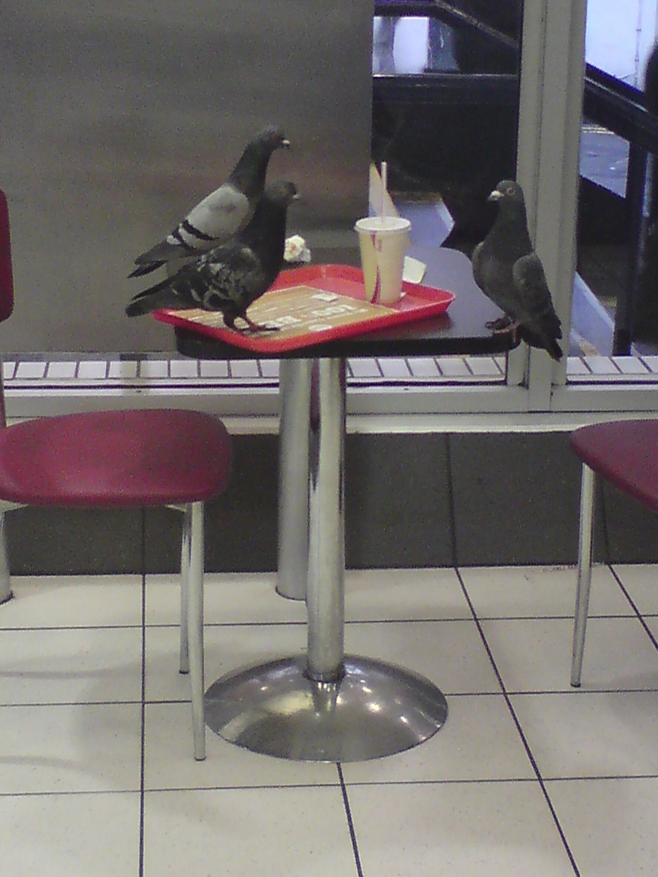 kanguskhan:  Bill, i told you to grab napkins 