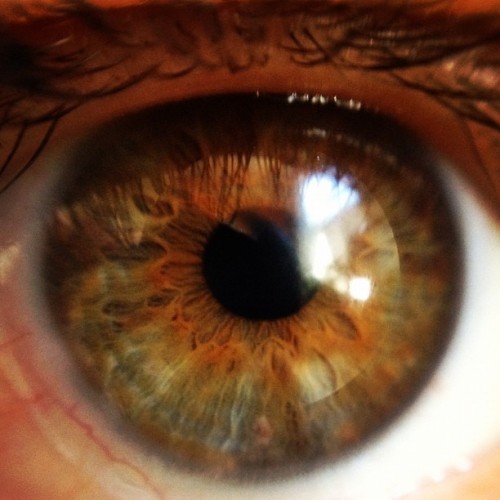 The eye of @ohheygreat #macro #ōlloclip #olloclip (Taken with instagram)