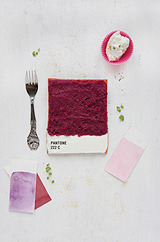  Pantone Swatch Tarts by Emilie 