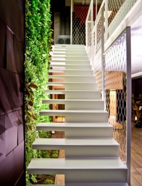 dreamyhome:  wall of plants, heaven 