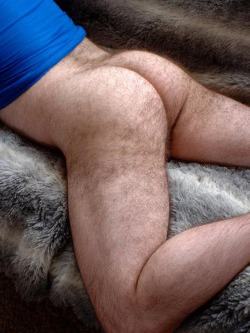 Hairy dads love hairy butts