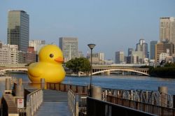 exhibition-ism:  Florentijin Hofman’s giant Rubber Duck outdoor installation - http://www.florentijnhofman.nl/dev/project.php?id=154 