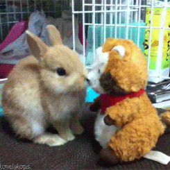 lovelylops:  ϟ 