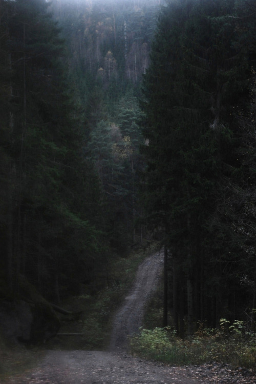 xysts:  By Coyhand 