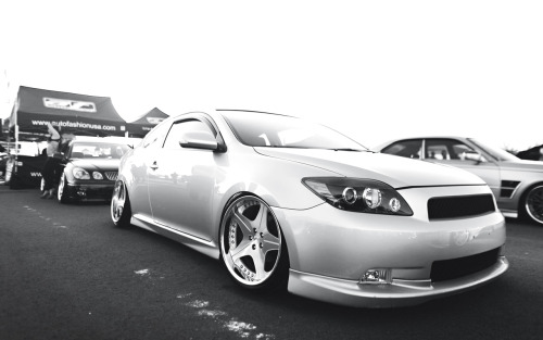 sciontist
